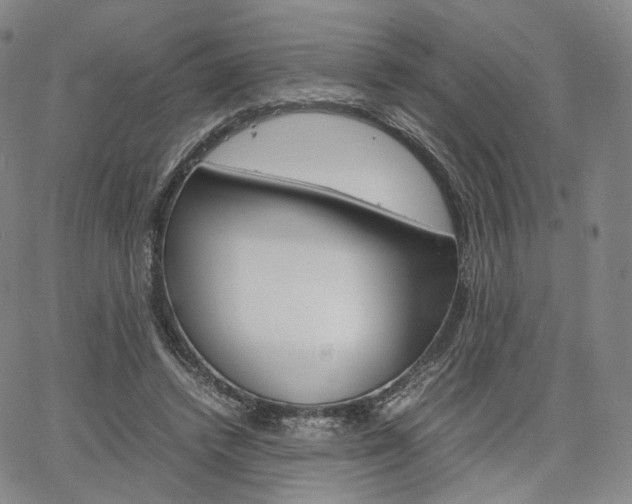 X0000067480448200604070932