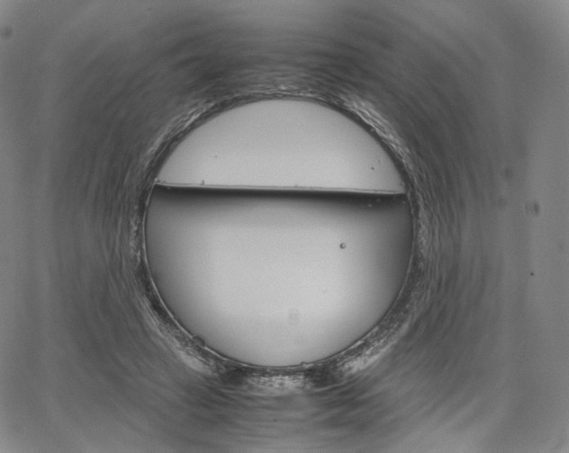 X0000067480449200604070932