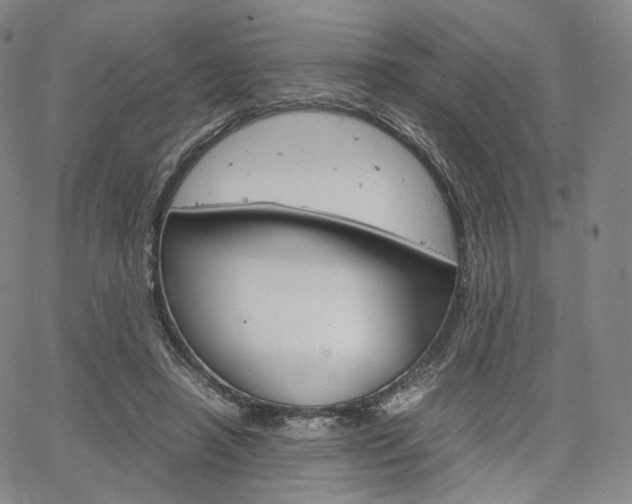 X0000067480450200604070932