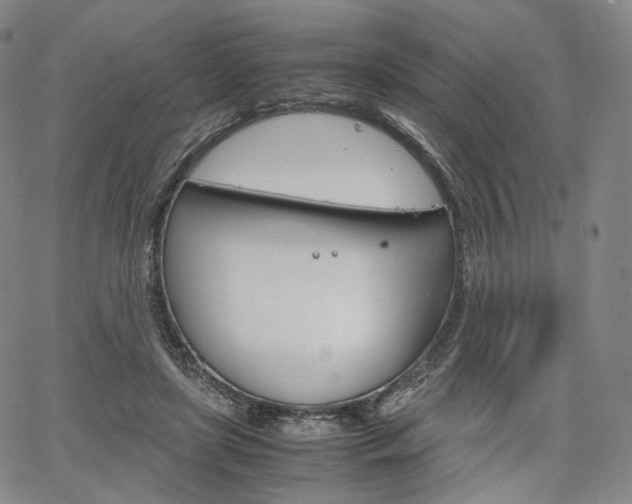 X0000067480451200604070932