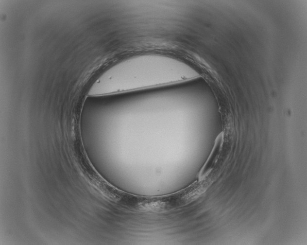 X0000067480452200604070932