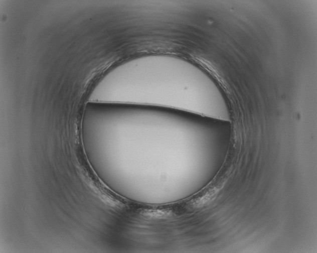 X0000067480453200604070932