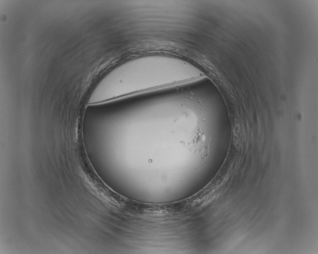 X0000067480454200604070932