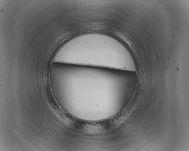 X0000067480455200604070932