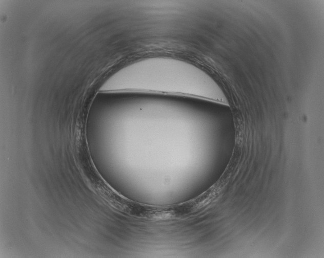 X0000067480456200604070932