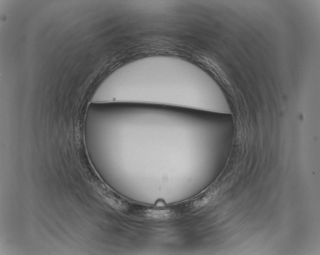 X0000067480457200604070932