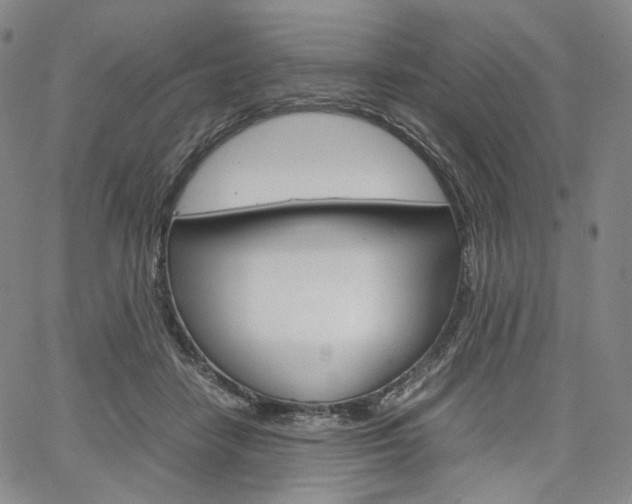 X0000067480458200604070932