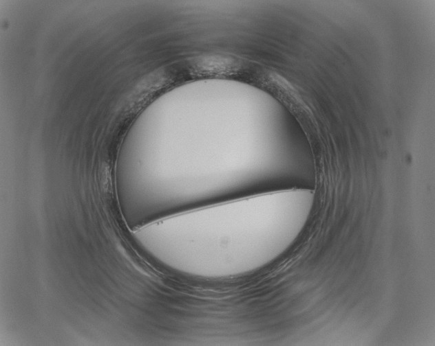 X0000067480459200604070932