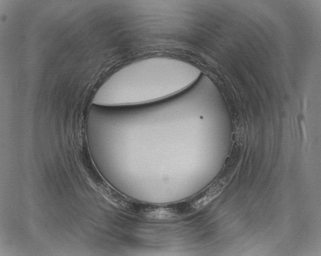 X0000067480460200604070932