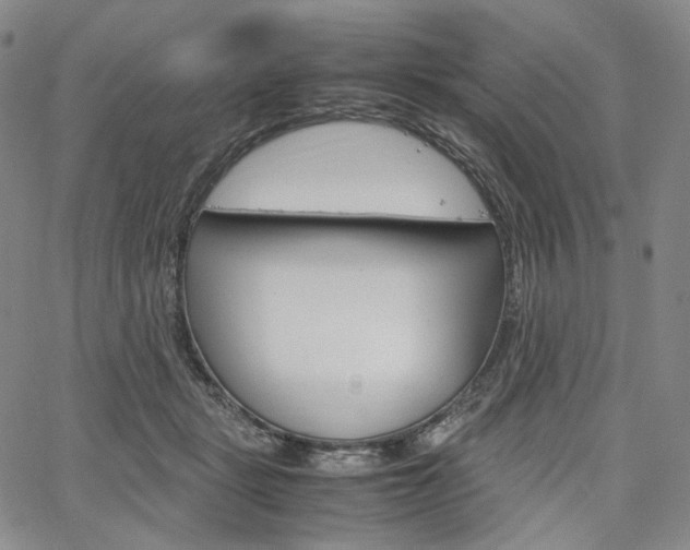 X0000067480461200604070932