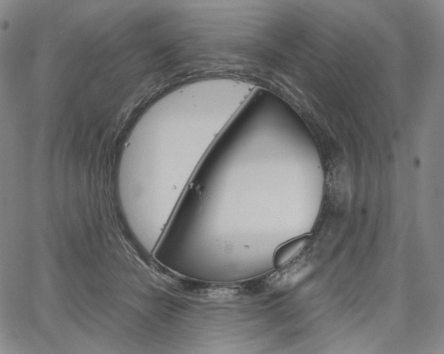 X0000067480462200604070932