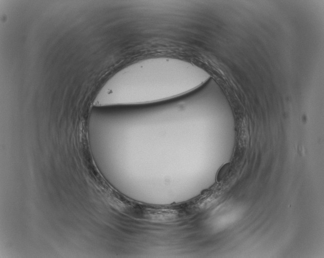 X0000067480463200604070932