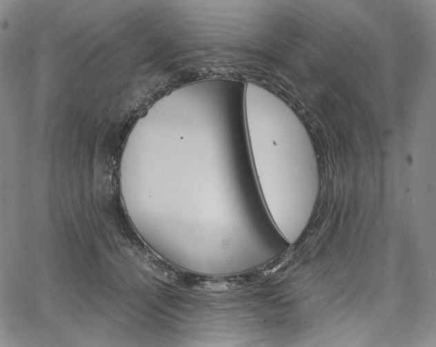 X0000067480464200604070932