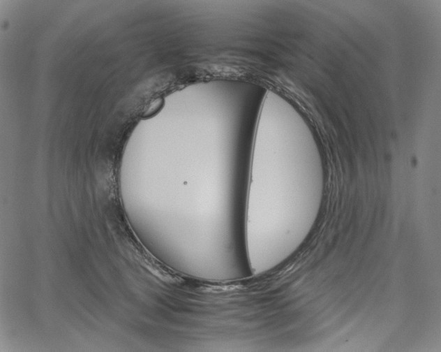 X0000067480465200604070932