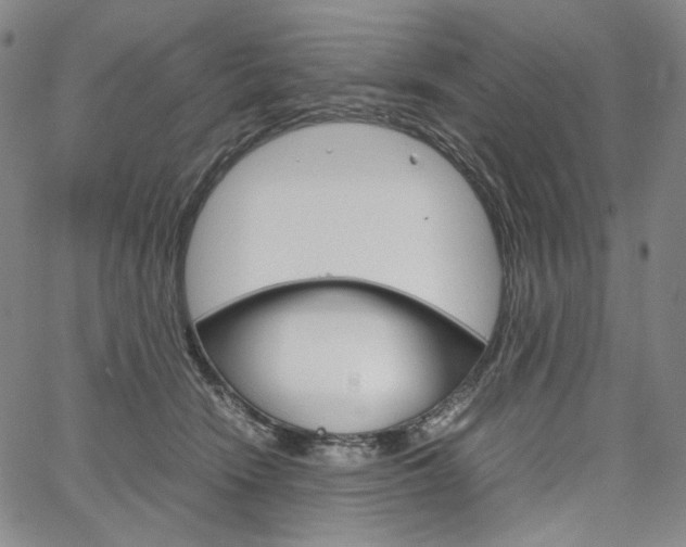 X0000067480466200604070932