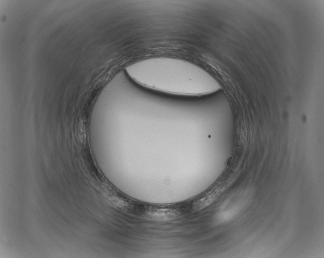 X0000067480467200604070932