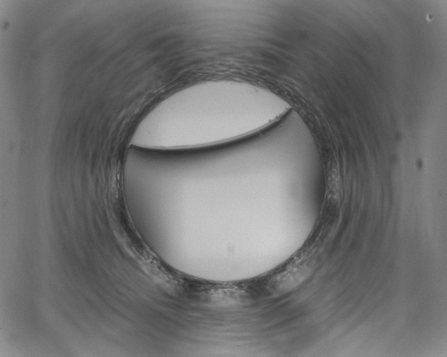 X0000067480468200604070932