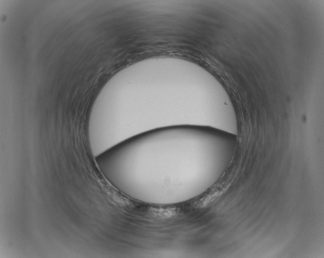 X0000067480469200604070932