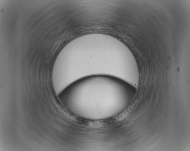 X0000067480470200604070932