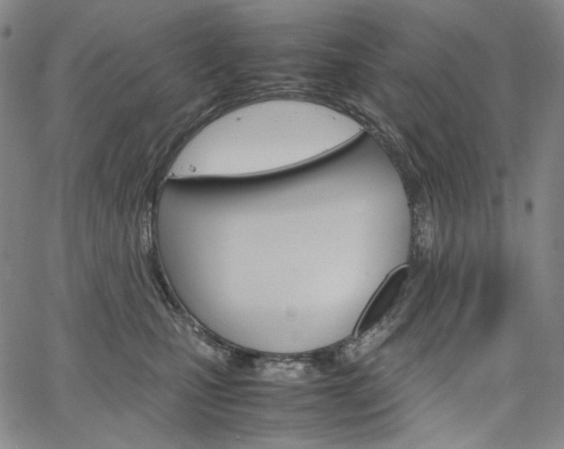 X0000067480471200604070932