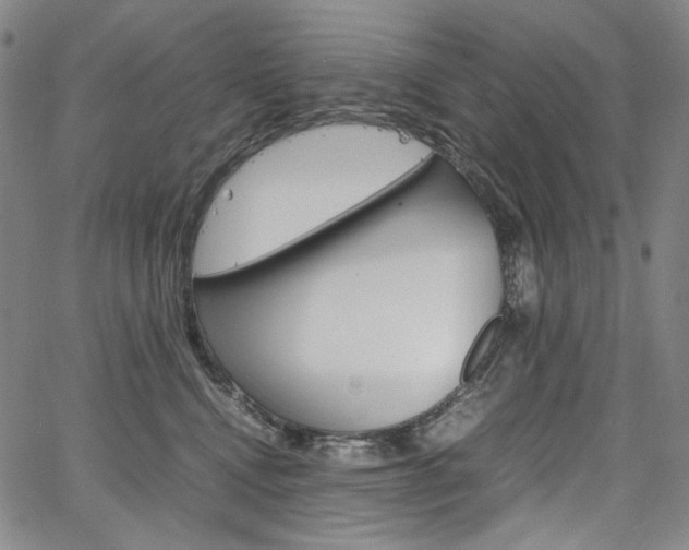 X0000067480472200604070932