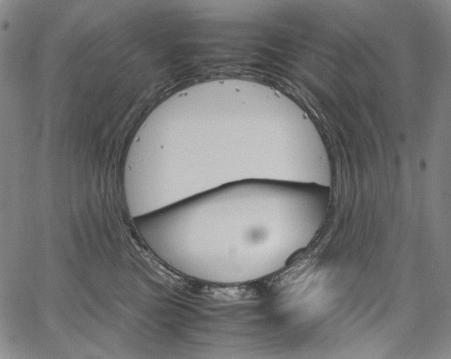 X0000067480473200604070932