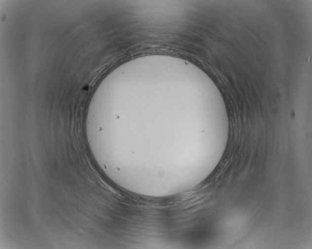 X0000067480474200604070932