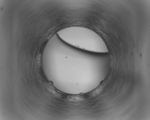 X0000067480475200604070932