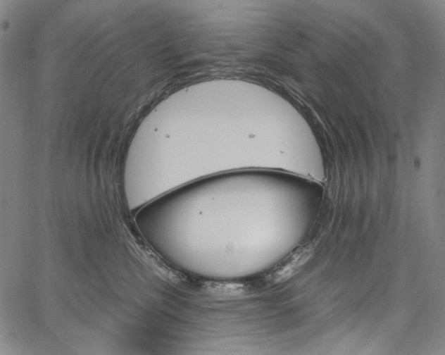 X0000067480476200604070932