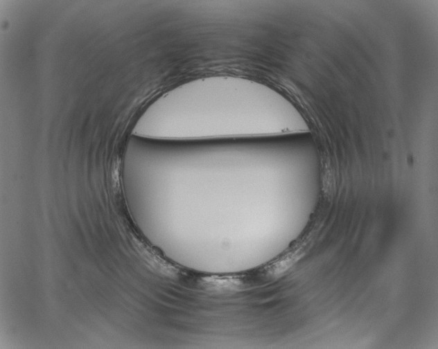 X0000067480477200604070932