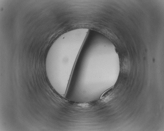 X0000067480478200604070932