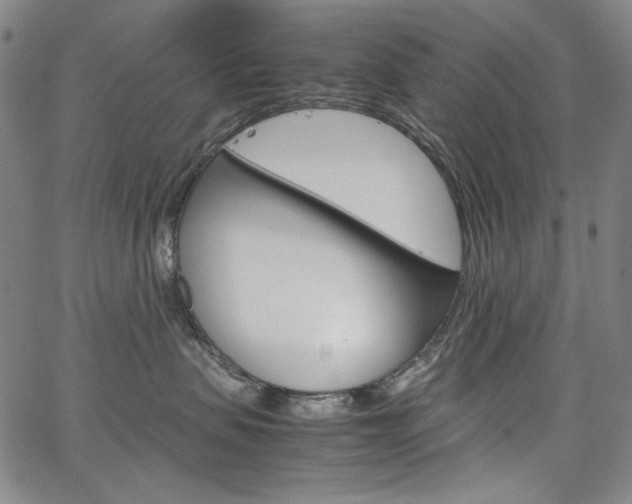 X0000067480479200604070932