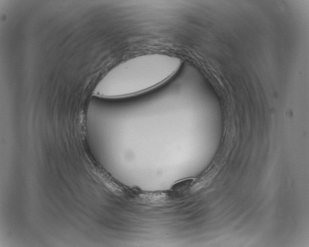 X0000067480480200604070932