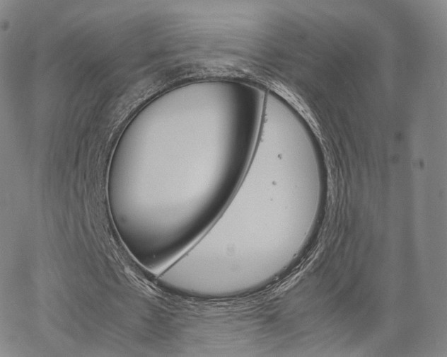 X0000067480481200604070931