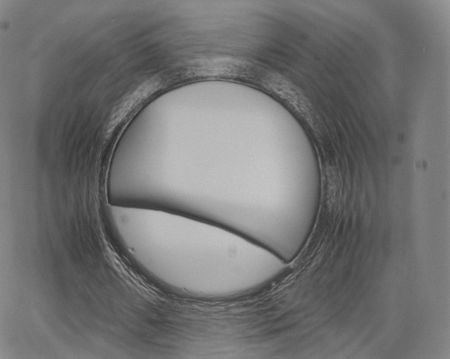 X0000067480482200604070931