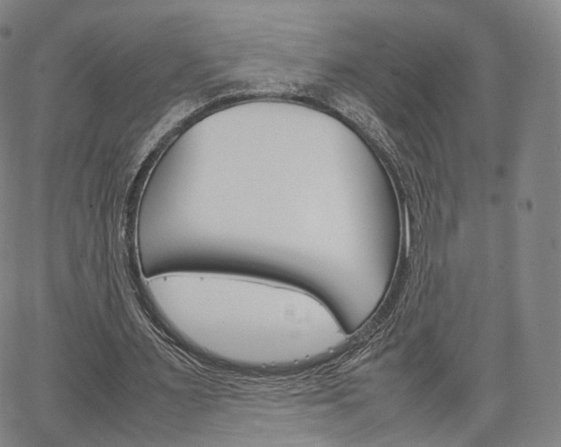 X0000067480483200604070931