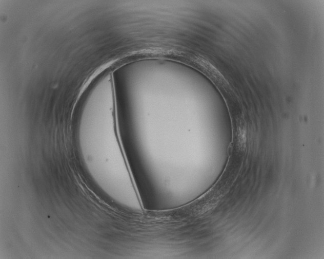 X0000067480484200604070931