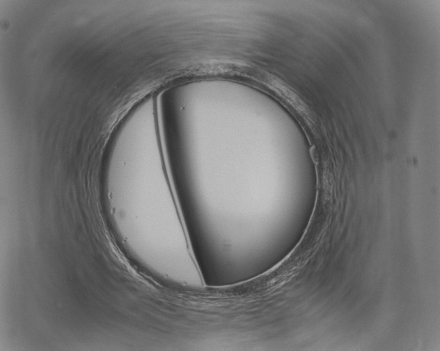 X0000067480485200604070931