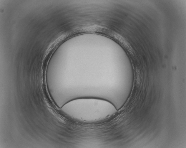 X0000067480486200604070931