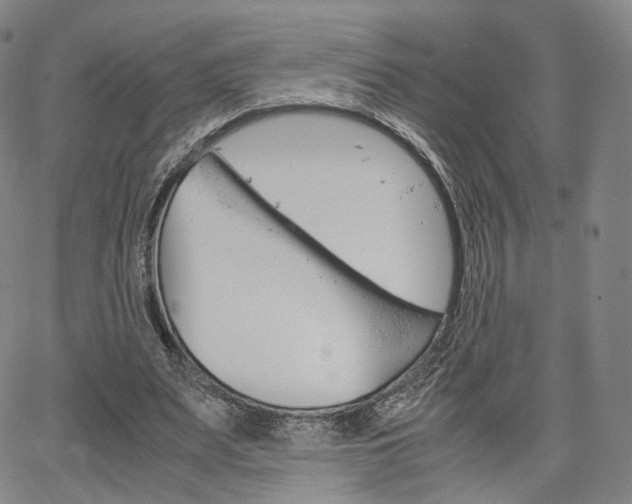 X0000067480487200604070931