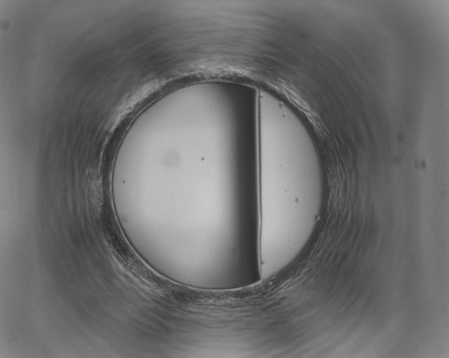 X0000067480488200604070931