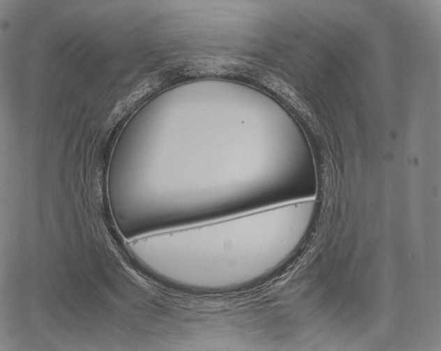 X0000067480489200604070931