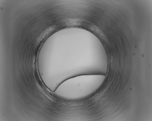 X0000067480490200604070931