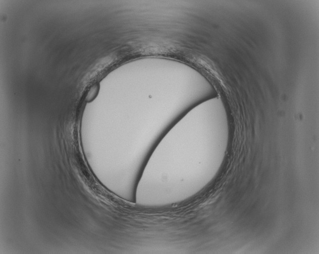 X0000067480491200604070931