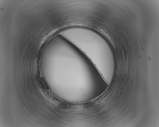 X0000067480492200604070931