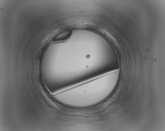 X0000067480493200604070931