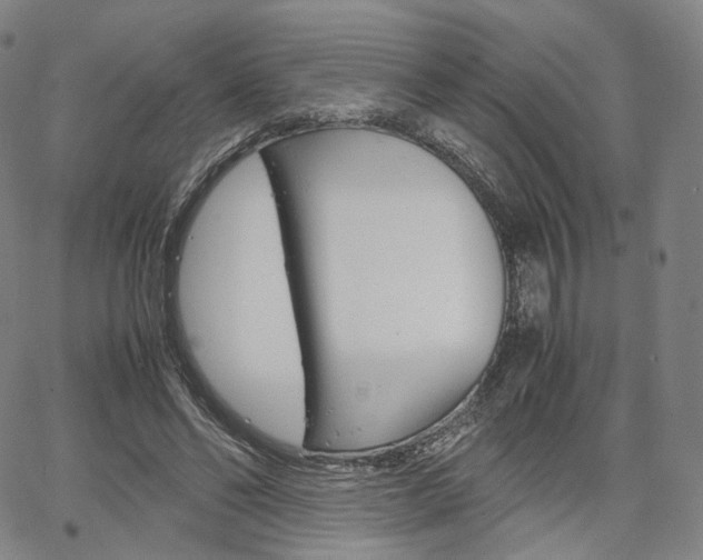 X0000067480494200604070931