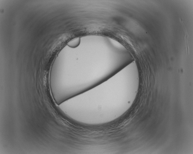 X0000067480495200604070931