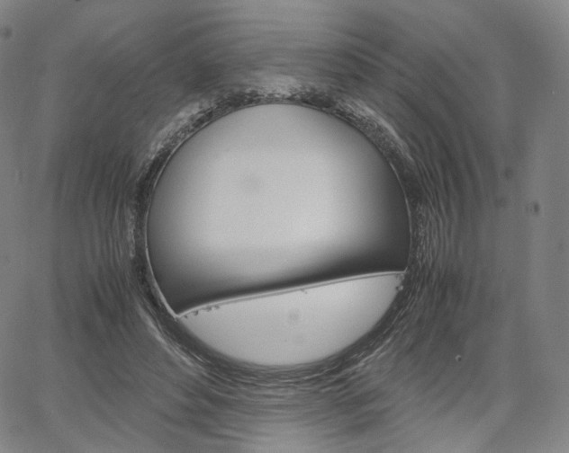 X0000067480496200604070931