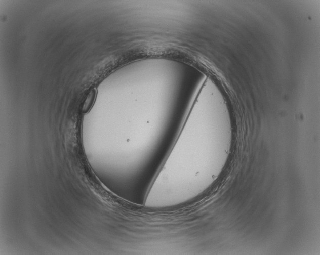 X0000067480497200604070931